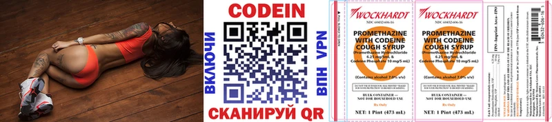 Купить закладки  Цимлянск  Кодеиновый сироп Lean напиток Lean (лин) 